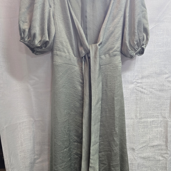 Petal & Pup Sage Dress - Picture 4 of 9